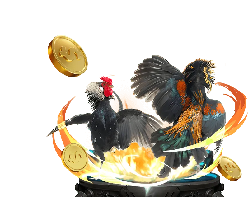 Ưu điểm của nền tảng cá cược 666vn Nhà Cái